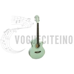 Cheap Fenix ​​Acoustic Guitar Florida